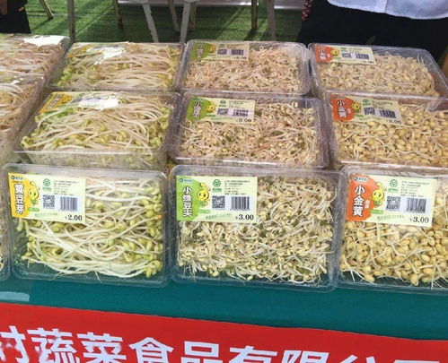 養老金上調惠及40余萬退休人員，路段施工提醒與科技成果對接活動預告