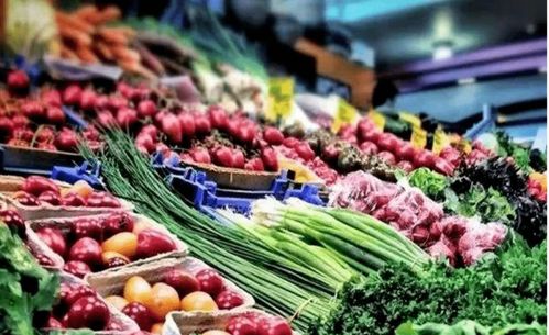 瓊州海峽對岸傳來利好 初級農產品發展迎來新機遇