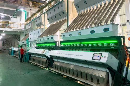 筑牢安全根基 農產品加工企業掀起初級產品綠色管理新浪潮