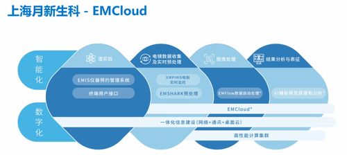 戴爾攜手上海月新生科 以強大算力賦能冷凍電鏡結(jié)構(gòu)生物學(xué)研究新時代